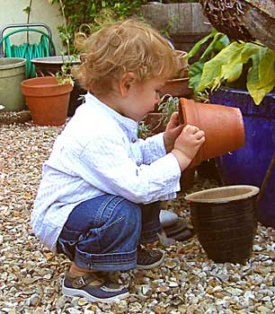 toddler